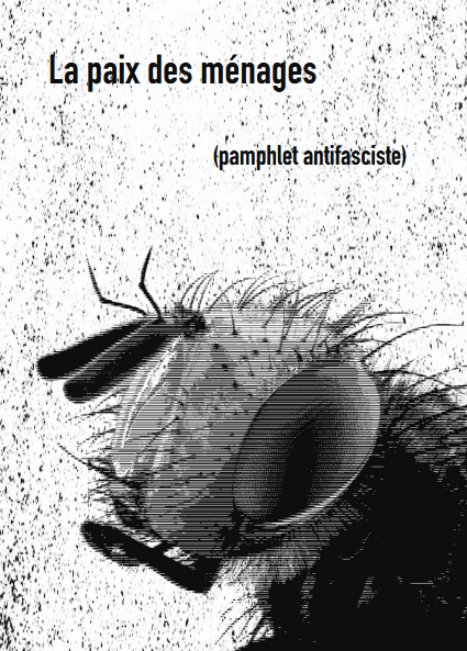 Couverture de zine en noir et blanc avec le titre La paix des ménages et le sous titre, entre parenthèses, pamphlet antifasciste. Une tête de mouche, en photo lourdement éditée de manière assez glitchy, occupe le premier plan.